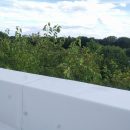 IMG_20200723_172845