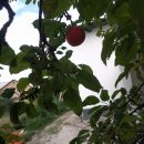 IMG_20200811_170827